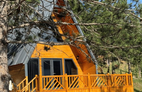 Şömineli Bungalov (1+1)